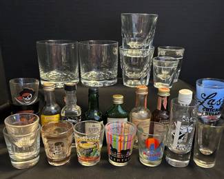 Assortment of Shot Glasses Mini Liquor Bottles