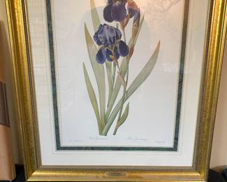 Framed "Iris Germanica by Artist Pierre-Joseph Redoute' (French 1759-1840) 