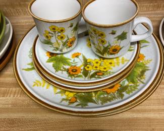 Mikasa 70's Natural Beauty Fresh from the Garden Stoneware