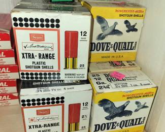 Shotgun Ammunition