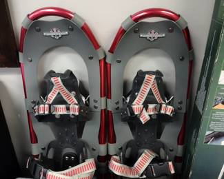 Snowshoes