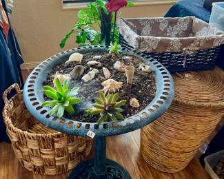$25 bird bath terrarium