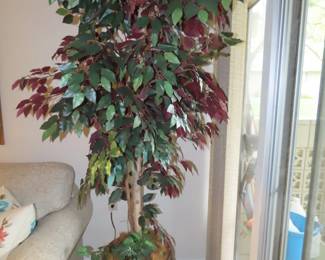 Large fake ficus.