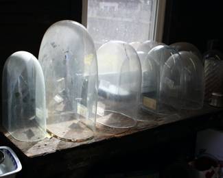 Antique glass clock domes / cloches