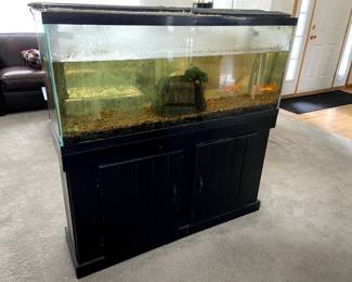 Fish have been rehomed and living their best lives. Tank and stand still for sale.
