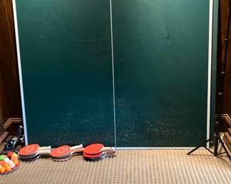 Ping pong table