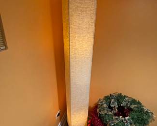 Accent lights/floor lamp