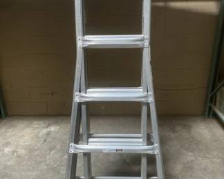 Lot 363 | Werner Ladder