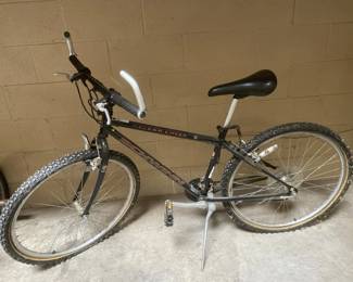 Lot 349 | Schwinn Bike