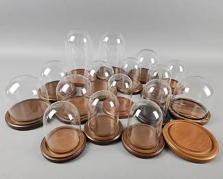 Lot 295 | Glass Display Domes w/ Wood Bases