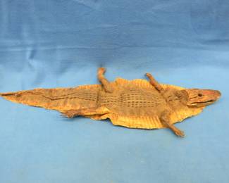 Lot 356. Have fun with this one