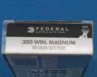 Lot 384. 20 Federal 300 Win Mag 180-gr. rounds