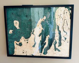 Battery operated relief map