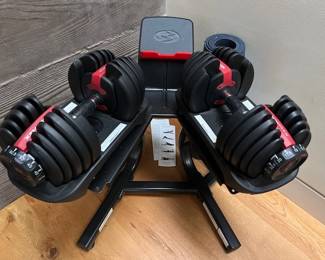 Bow Flex Dumbbells and Stand
