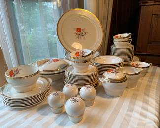 Triumph American Limoges Vermillion Rose Porcelain China (57pc)