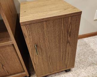 Rolling cabinet 23 x 14 x 17 located in basement