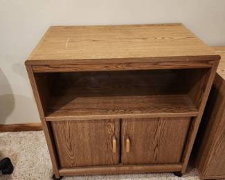 Rolling cabinet 28 x 26 x 16 located in basement