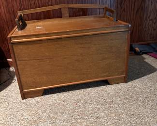 Beautiful Toy Box