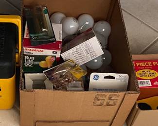 DeWalt Cooler/Light Bulbs