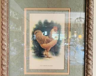 Pair of Vintage Chicken Framed Prints 