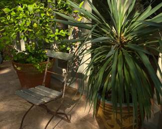 These items will be available the following weekend. 