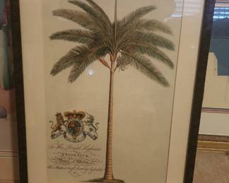 "King Palm" by Ehret, Georg