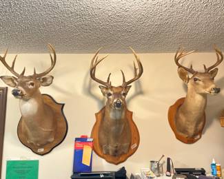 Office items and 3 deer mounts