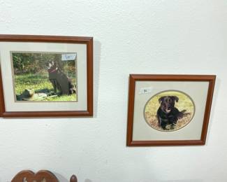 Framed - matted - glass covered picture