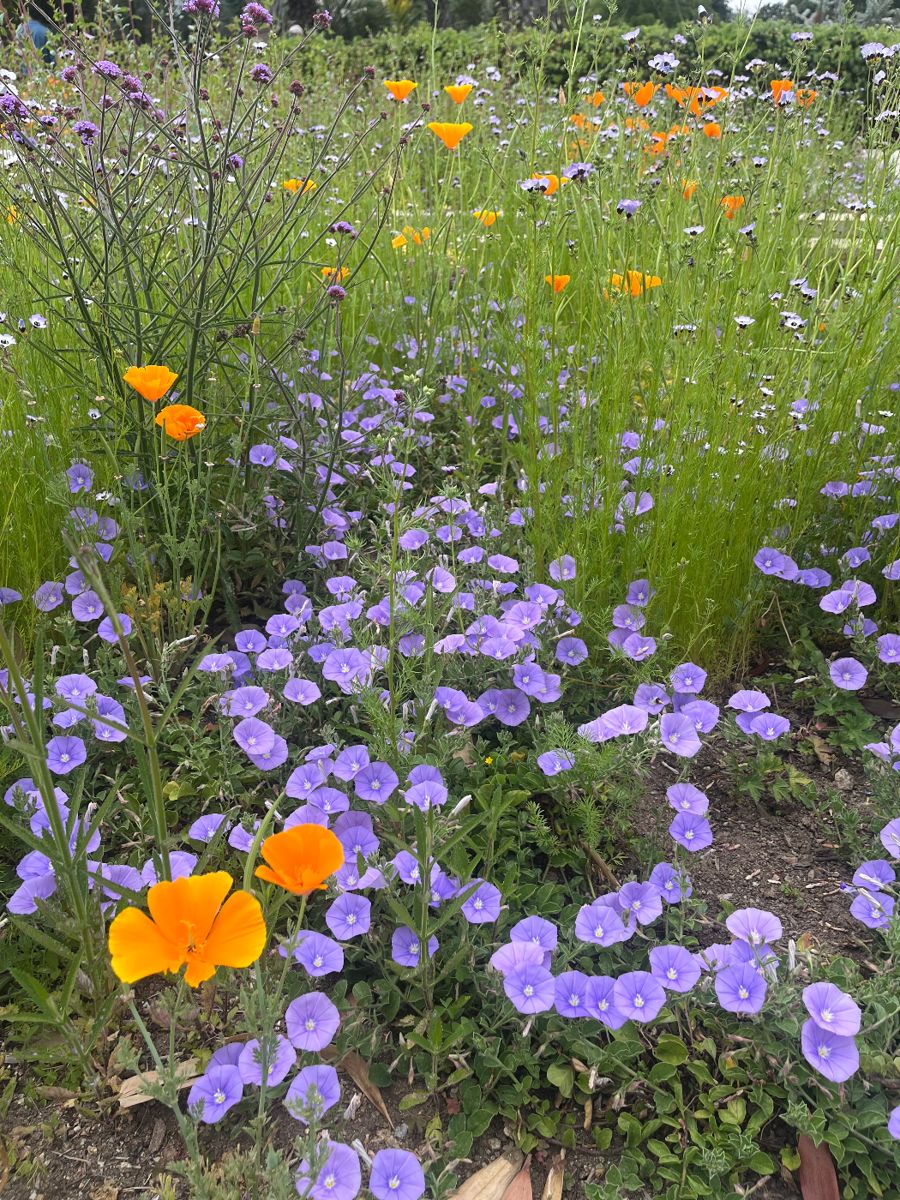 Full House Vintage Estate Sale in Larchmont starts on 5/2/2024