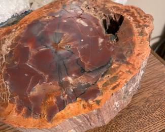 petrified wood