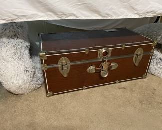 another trunk & several pet beds