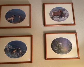 wall decor, wild animal prints