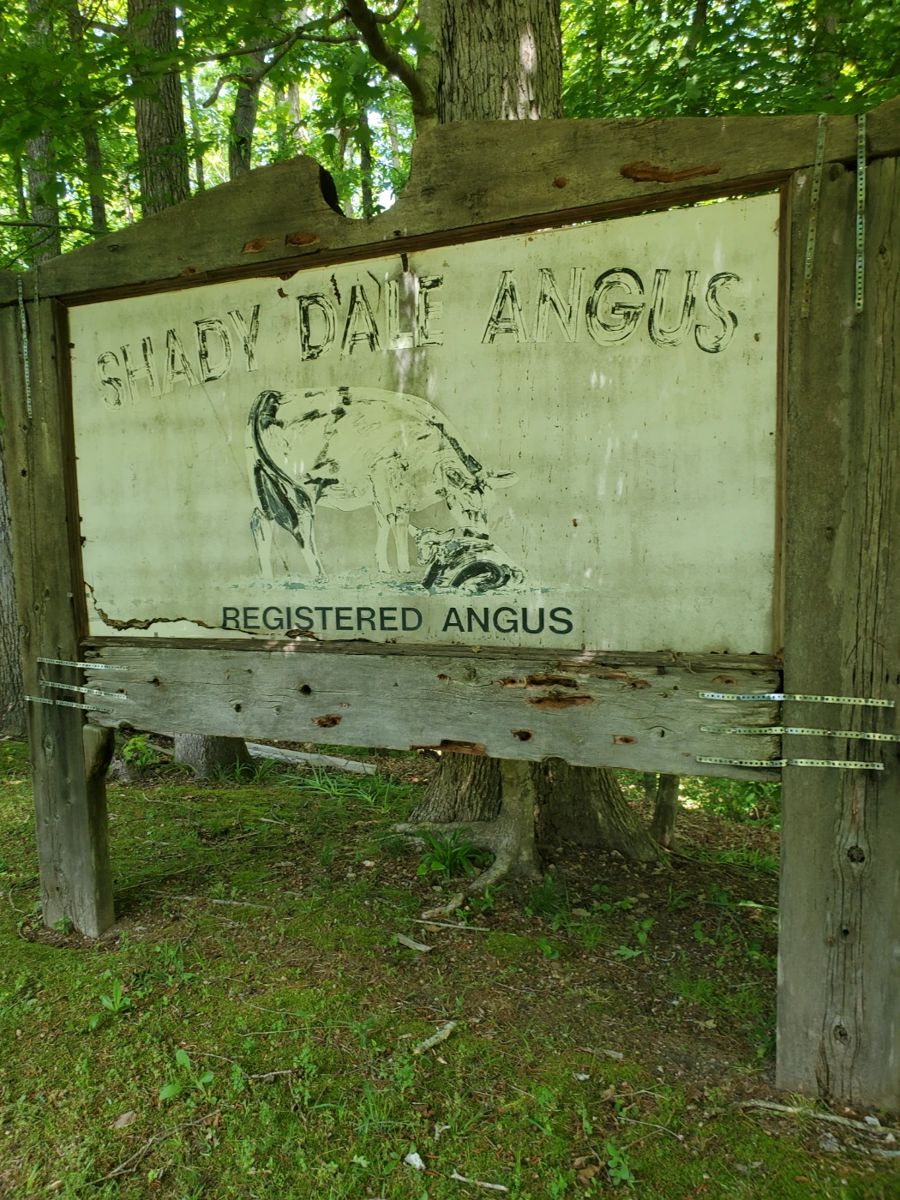 Family Farm Sale in Shady Dale Farm... starts on 5/16/2024