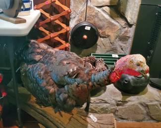 More Cool Taxidermy!