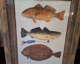Fish Artwork...signed and numbered...limited edition