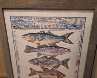 Fish of the Chesapeake Bay Print