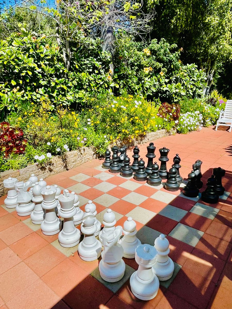 Outdoor 25" Tall MegaChess Chess Set 