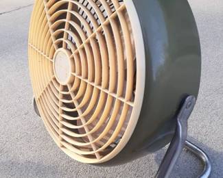 Available outside today