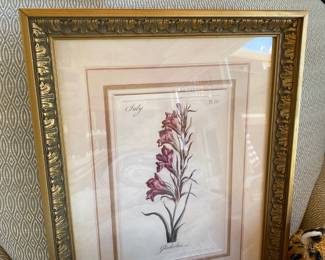 Framed Botanical Print "Gladiolas" 