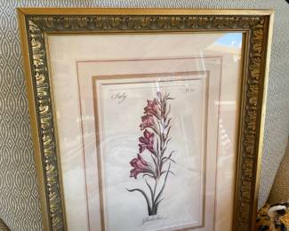 Framed Botanical Print "Gladiolas"