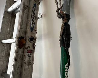 GREAT WERNER Extension Ladder! Nice limb trimmer! 