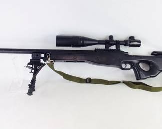Rifle BB Gun with Scope and Bipod
