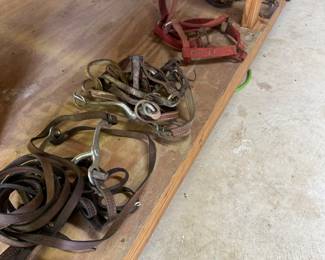 Horse Tack