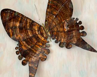 Mid Century Metal Butterfly art