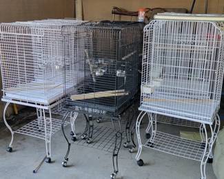 Bird Cages