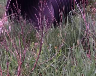 2ft diameter corrugated tile