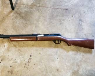 Crosman pump air rifle