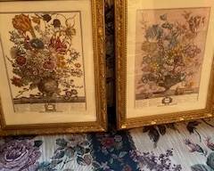 Pair of Botanical Prints