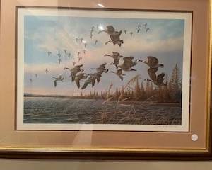 Tamarack Lake - Canada Geese, Owen Gromme