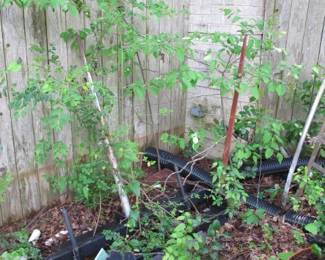 Leinbach 3 point hay spear (red) and Work Saver hay spear (silver)